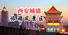 熟女性爱乱轮偷拍电影中国陕西-西安城墙旅游风景区